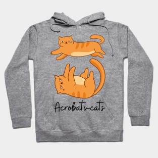 Ginger Cats Playing Acrobatics Hoodie